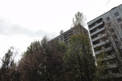 DSC00746